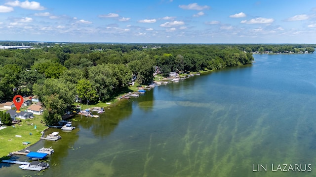 drone / aerial view featuring a water view and a forest view