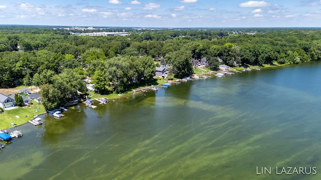 birds eye view of property with a water view and a wooded view