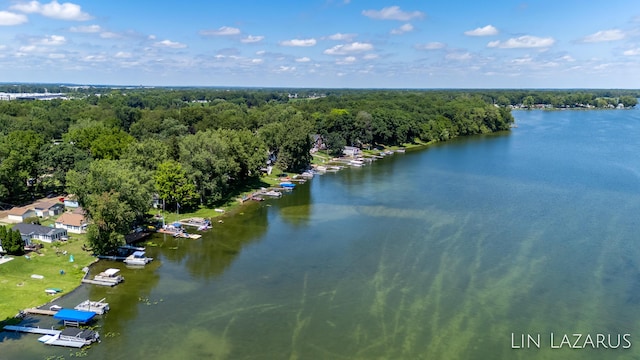 aerial view featuring a water view and a wooded view