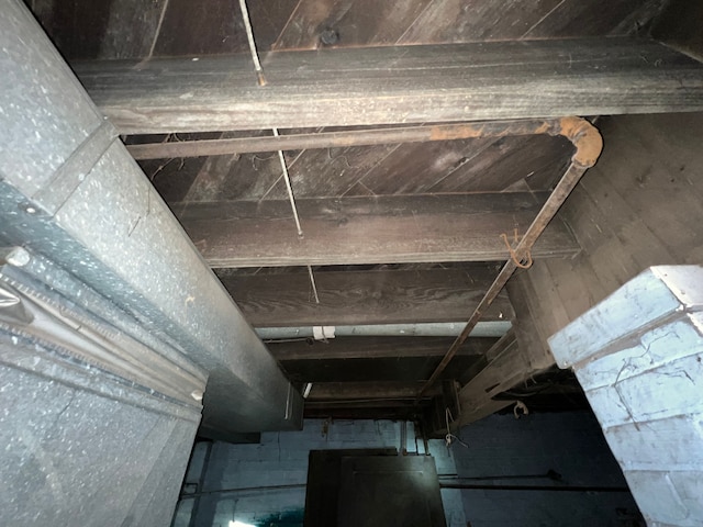 3674 Mount Elliott St, Detroit, MI 48207 - interior details with crawl space