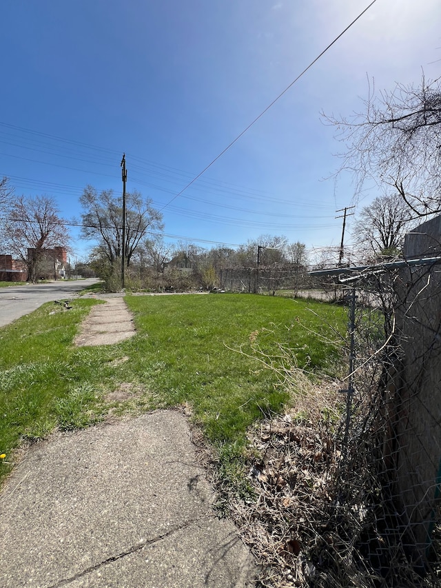 3674 Mount Elliott St, Detroit, MI 48207 - view of road