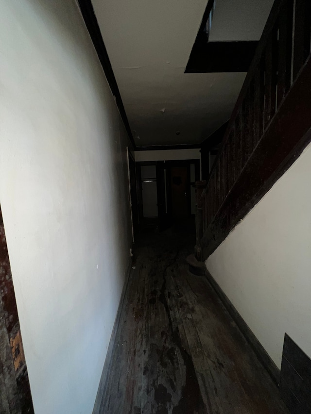 3674 Mount Elliott St, Detroit, MI 48207 - hallway featuring stairs and wood finished floors