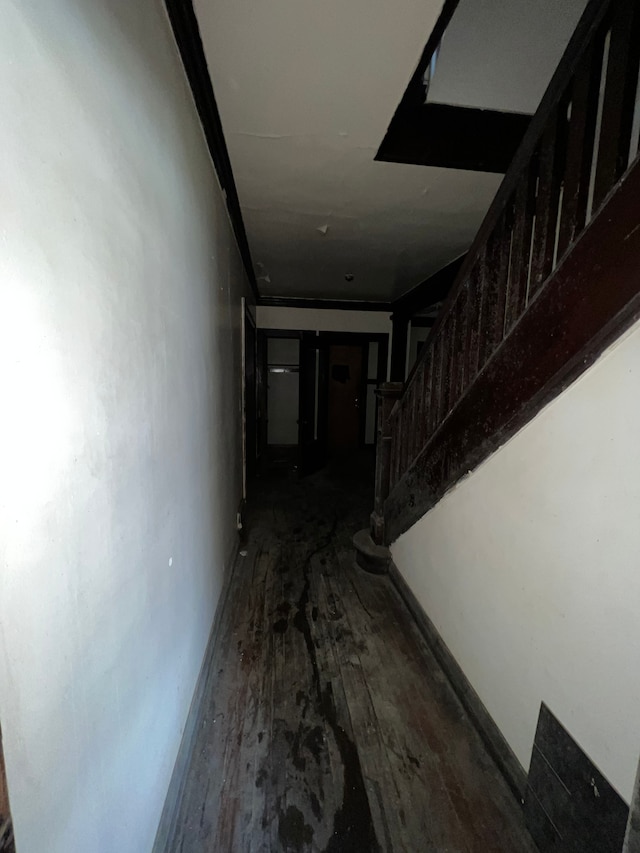 3674 Mount Elliott St, Detroit, MI 48207 - hallway with stairway and wood finished floors