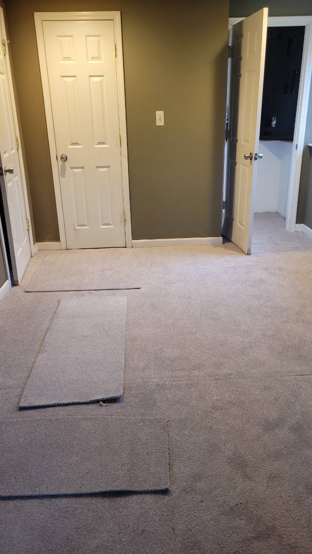 22273 Collette St, Woodhaven, MI 48183 - interior space featuring light colored carpet and baseboards
