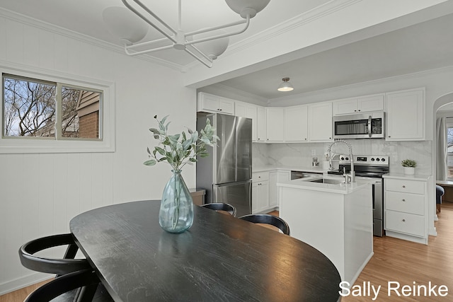 kitchen featuring stainless steel appliances, light countertops, a healthy amount of sunlight, and an island with sink