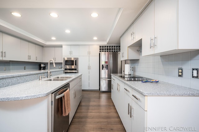 kitchen with tasteful backsplash, appliances with stainless steel finishes, dark wood-type flooring, and a sink