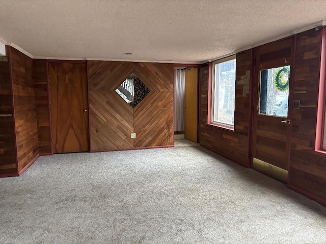 interior space with carpet floors, wooden walls, and a textured ceiling