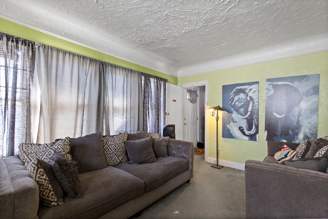 carpeted living room with a textured ceiling, baseboards, and a textured wall