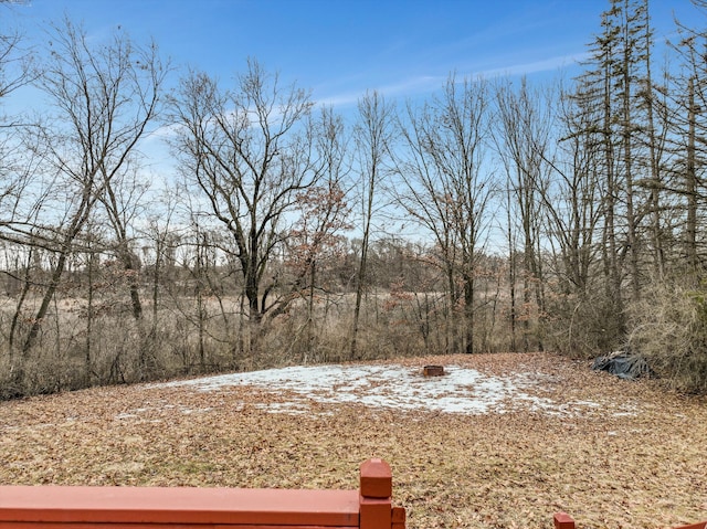 view of yard layered in snow