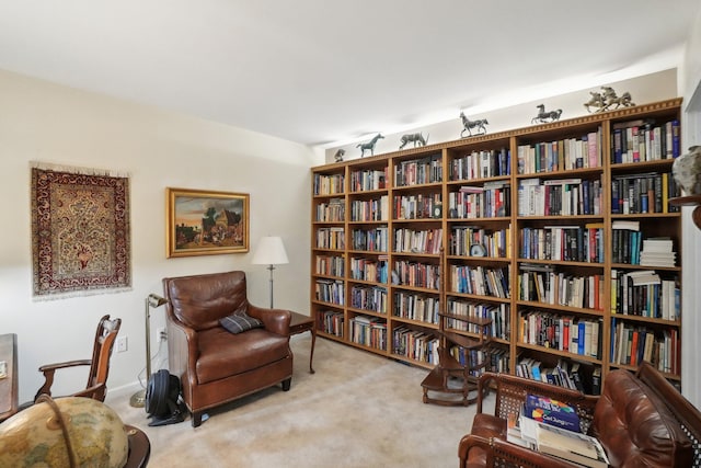 living area with carpet