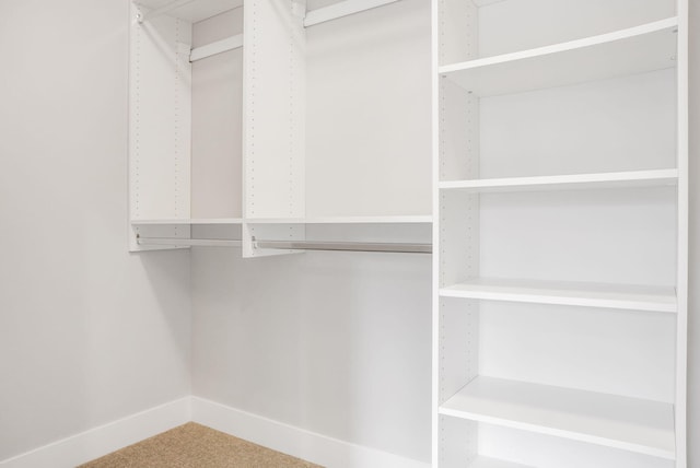 walk in closet with carpet floors