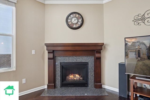 room details with baseboards, a fireplace with flush hearth, and crown molding