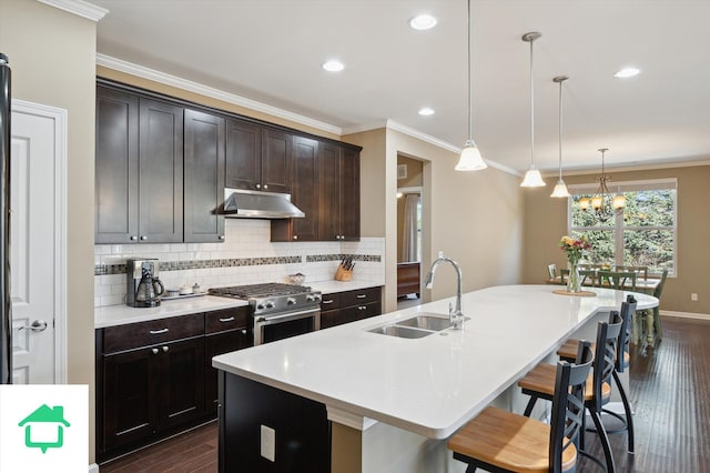 kitchen with a sink, dark wood-type flooring, under cabinet range hood, stainless steel gas range oven, and tasteful backsplash