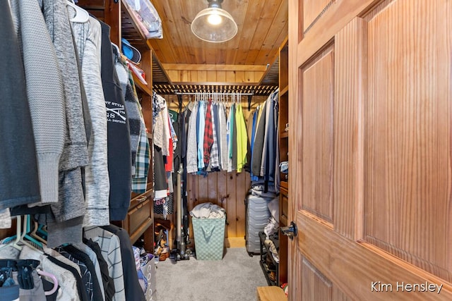 spacious closet featuring carpet