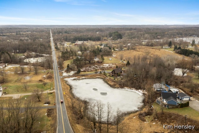 bird's eye view