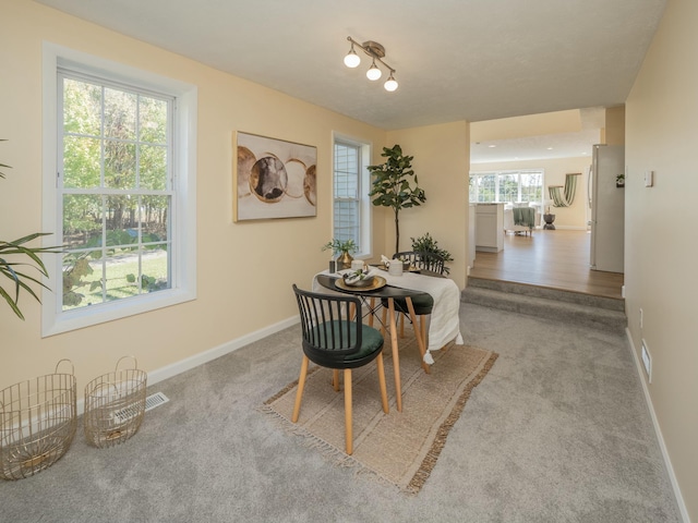 dining area with carpet flooring and baseboards