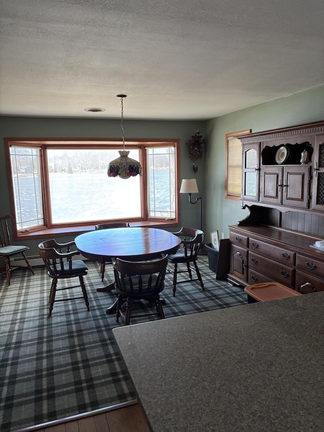 dining space featuring a textured ceiling, baseboards, and a wealth of natural light