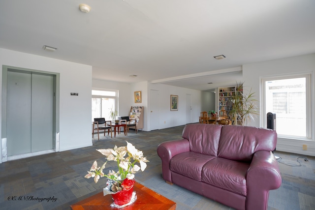 living area featuring carpet