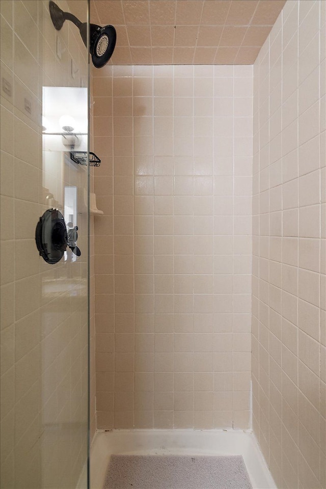 bathroom with a stall shower