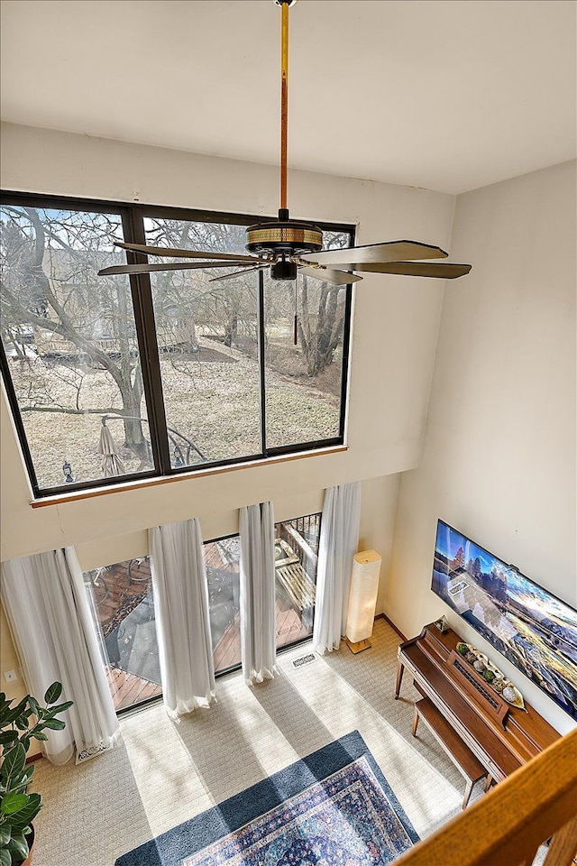 details featuring carpet flooring and a ceiling fan