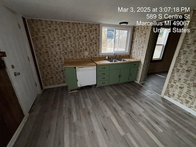 kitchen featuring green cabinetry, wood finished floors, white dishwasher, light countertops, and a sink