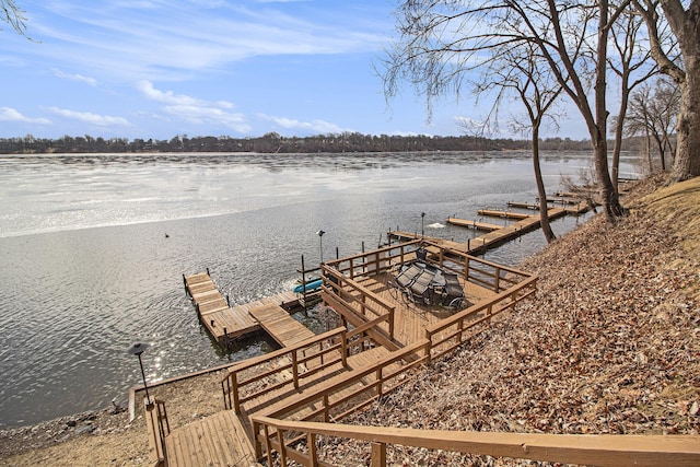 dock area with a water view