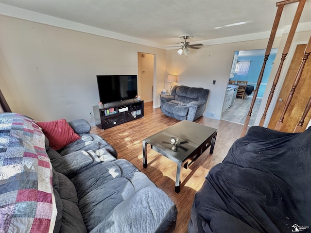 living area with ceiling fan and light wood-style flooring