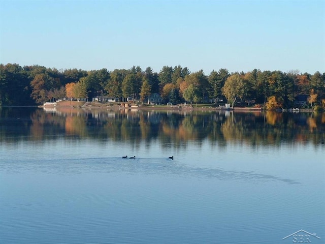 property view of water featuring a wooded view