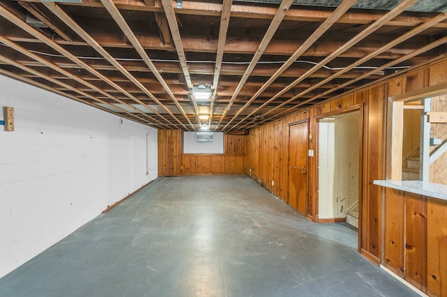 basement with wooden walls