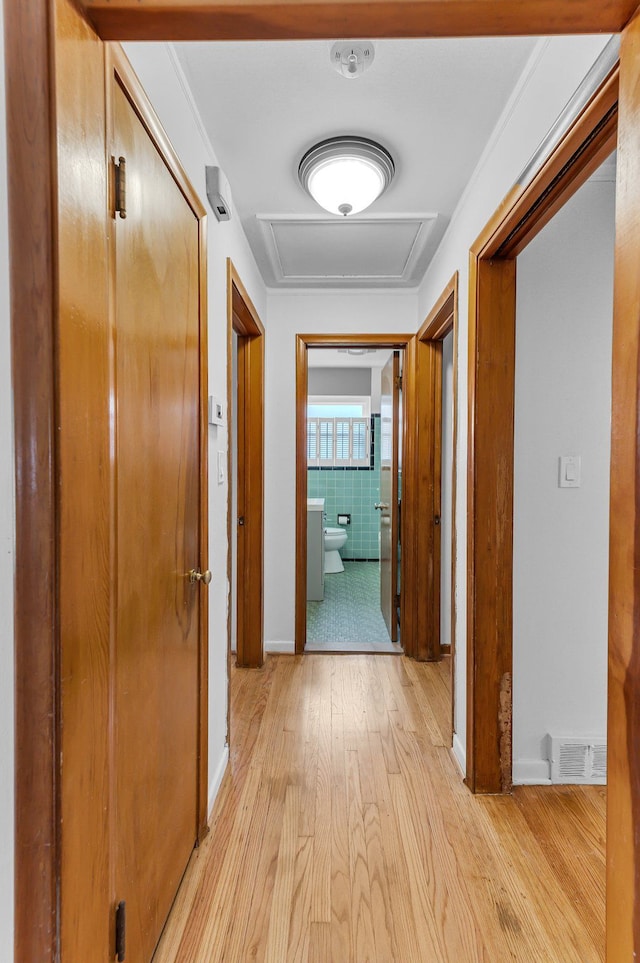 hallway featuring visible vents, baseboards, attic access, and light wood-style floors