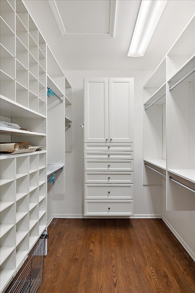 spacious closet featuring dark wood-type flooring