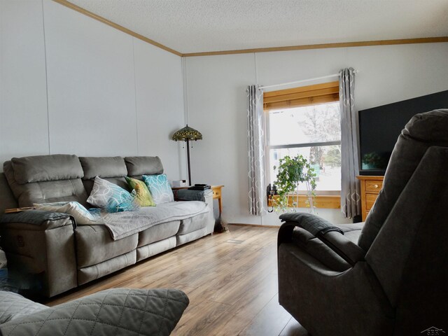 living room featuring light wood-style flooring, crown molding, and a textured ceiling