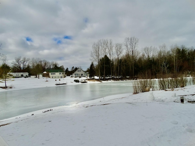 view of yard covered in snow