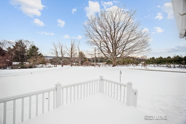 view of yard covered in snow