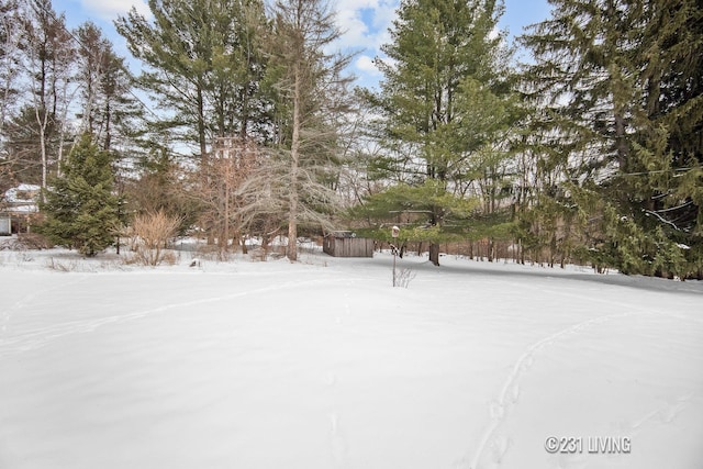 view of snowy yard