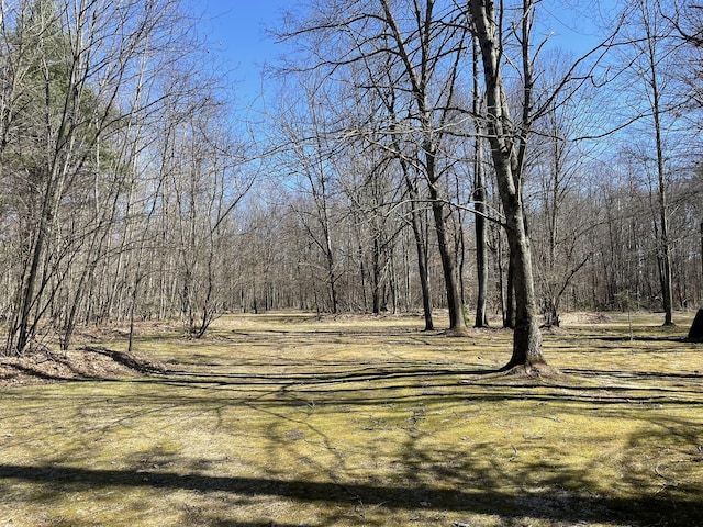 view of nature featuring a wooded view
