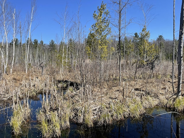 view of nature