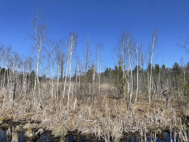 view of nature