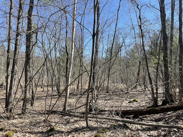 view of nature