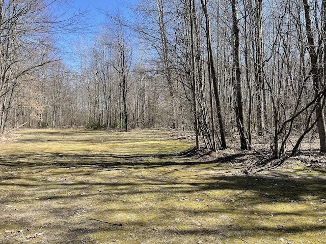 view of nature