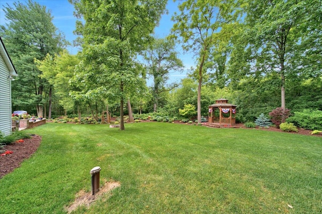 view of yard featuring a playground