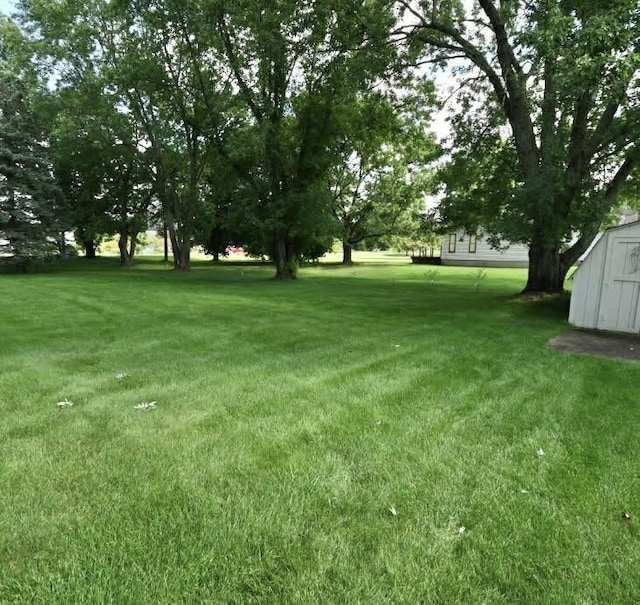 view of yard with a storage unit and an outdoor structure