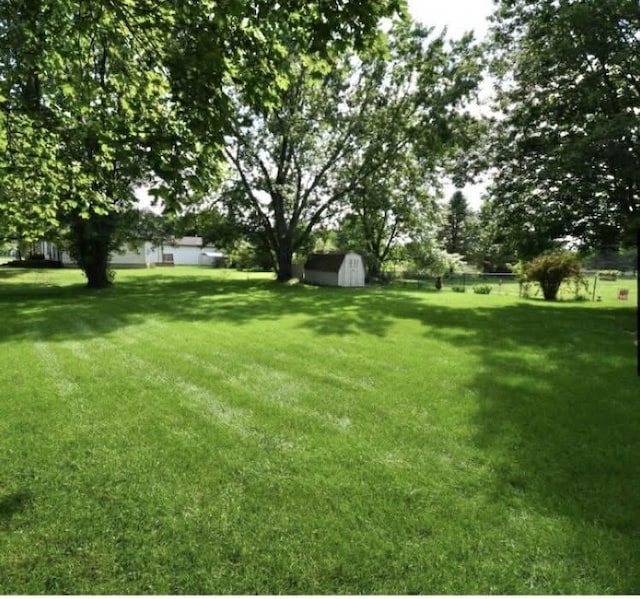 view of yard with a shed and an outdoor structure