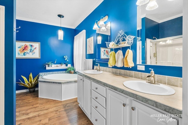 bathroom with wood finished floors, ornamental molding, and a sink