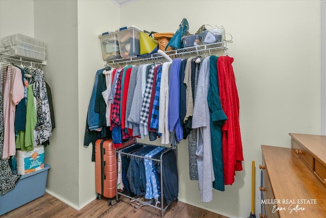 walk in closet featuring wood finished floors