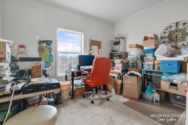 home office featuring carpet floors and ornamental molding