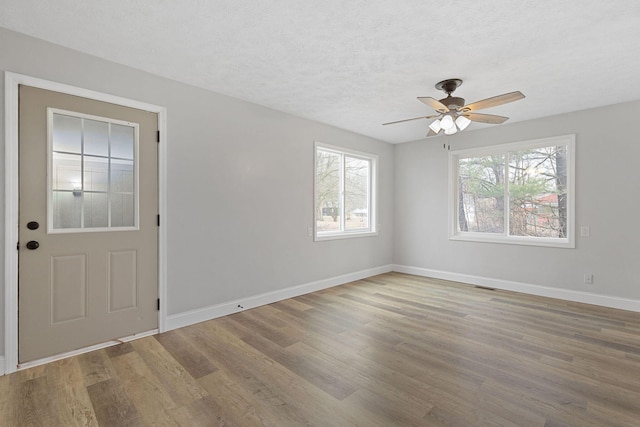 foyer entrance featuring a healthy amount of sunlight, a textured ceiling, baseboards, and wood finished floors