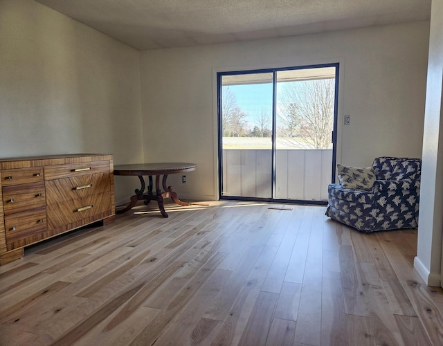 unfurnished room with light wood finished floors and a textured ceiling