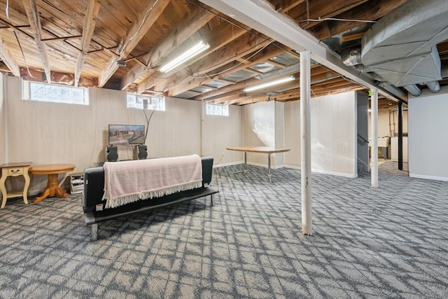 basement featuring carpet