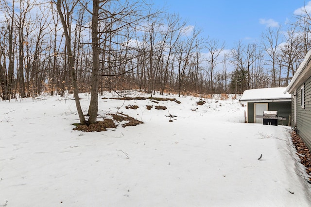 yard layered in snow with a detached garage